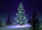 Christmas tree at night5