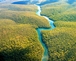 The Amazon in Peru